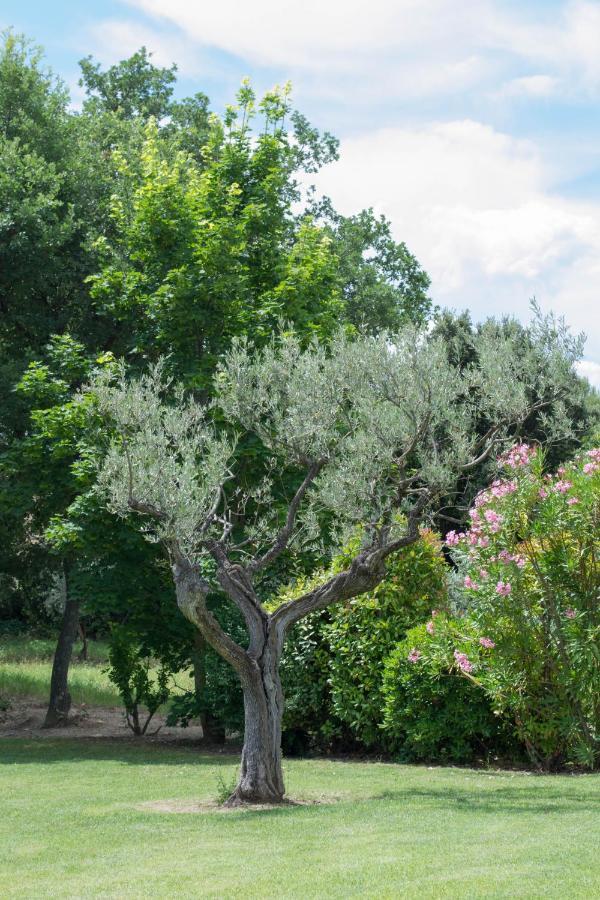 Le Bouquet De L Aromate Acomodação com café da manhã Joucas Exterior foto